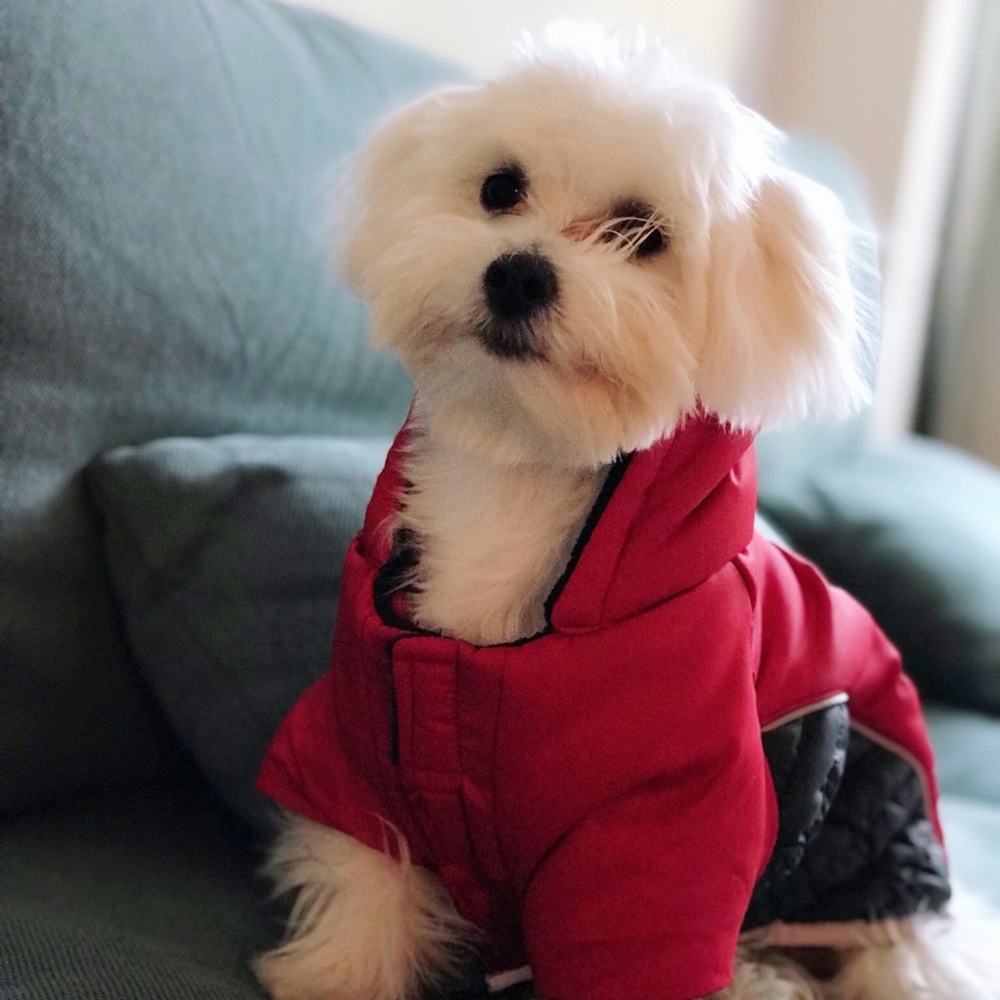 Meet your Posher, Amber